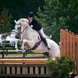 Meet your Posher, Kelly